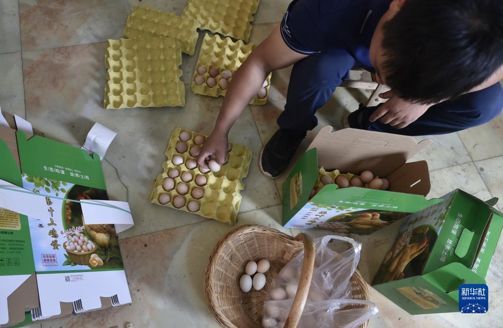 捕鱼达人之海底捞下载